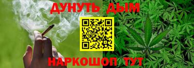 крисы Краснодар