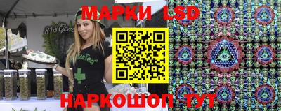 крисы Краснодар