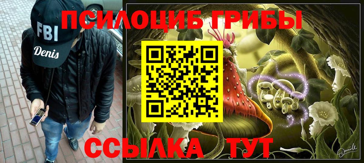 Псилоцибиновые грибы прущие грибы  Вход с VPN  Бирск 